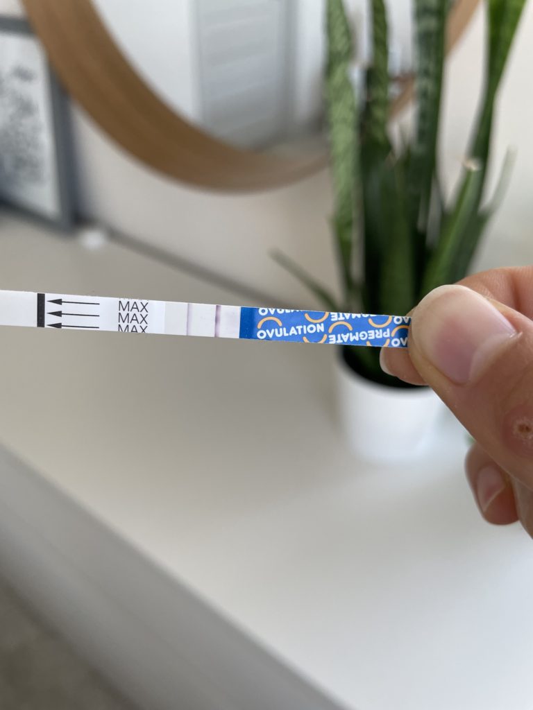 ovulation test strip opk pregnancy first trimester recap